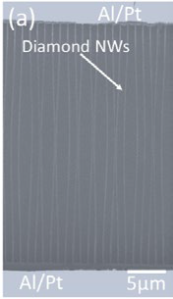 SEM Image of the UNCD NW Array