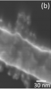 Enlarged Image of a Single UNCD NW