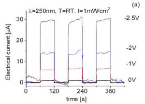 Bias Effect on the Response