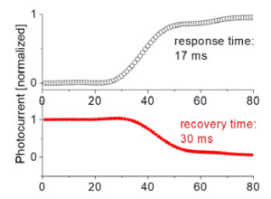 Response and Recovery Times of the Boron-Doped, UNCD-Based UV PD