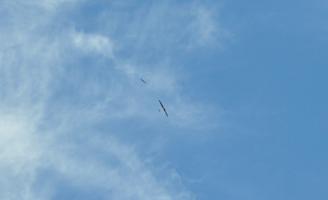 Figure 6 (top): Both NRL and PSU Aircraft Climb in the Same Updraft During Cooperative Autonomous Soaring Testing in 2015 (NRL Photo).