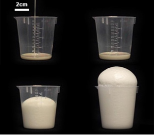 Figure 1: Example Foam Volume Expansion.