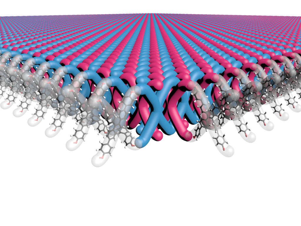 A Northwestern University-led research team has developed the first two-dimensional (2D) mechanically interlocked material. With 100 trillion mechanical bonds per 1 square centimeter, the new material contains highest density of mechanical bonds ever achieved. Credit: Mark Seniw, Center for Regenerative Nanomedicine, Northwestern University