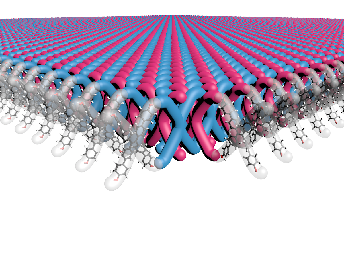 A Northwestern University-led research team has developed the first two-dimensional (2D) mechanically interlocked material. With 100 trillion mechanical bonds per 1 square centimeter, the new material contains highest density of mechanical bonds ever achieved. Credit: Mark Seniw, Center for Regenerative Nanomedicine, Northwestern University