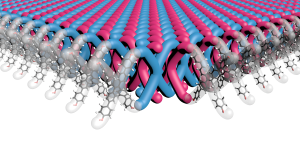 A Northwestern University-led research team has developed the first two-dimensional (2D) mechanically interlocked material. With 100 trillion mechanical bonds per 1 square centimeter, the new material contains highest density of mechanical bonds ever achieved. Credit: Mark Seniw, Center for Regenerative Nanomedicine, Northwestern University